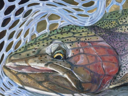 Net Worth Rainbow Trout Oil Painting Raffle